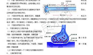 高二生物知识点总结